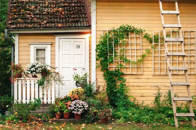 Gult hus med höstlöv och stege